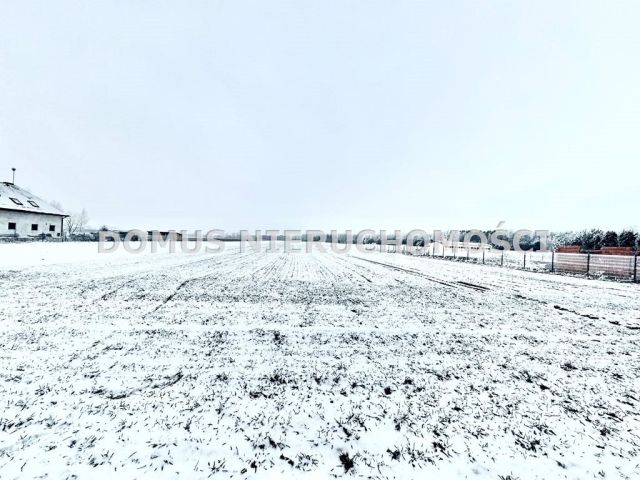 Działka budowlana Złotniki. Zdjęcie 5