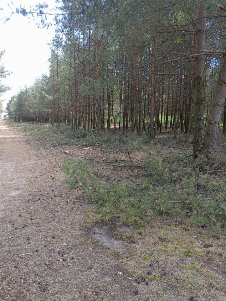 Działka budowlana Blochy. Zdjęcie 3