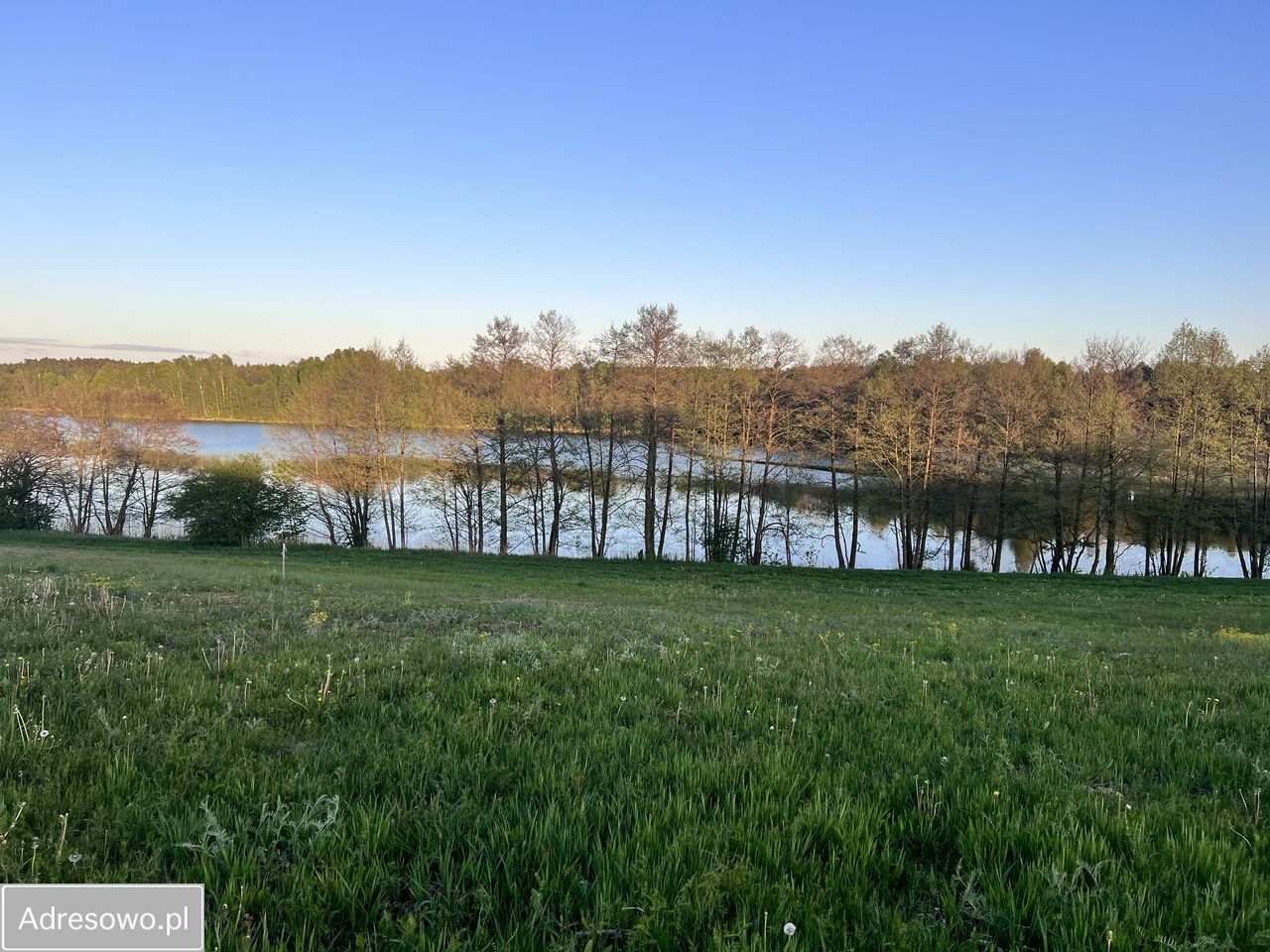 Działka budowlana Borzechowo. Zdjęcie 10