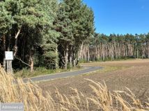 Działka budowlana Zasutowo, ul. Letnia. Zdjęcie 3