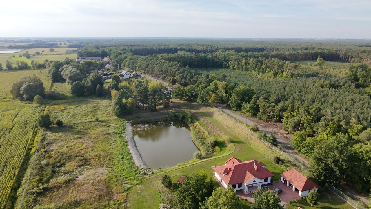 Działka budowlana Górsk, ul. Harcerska. Zdjęcie 5