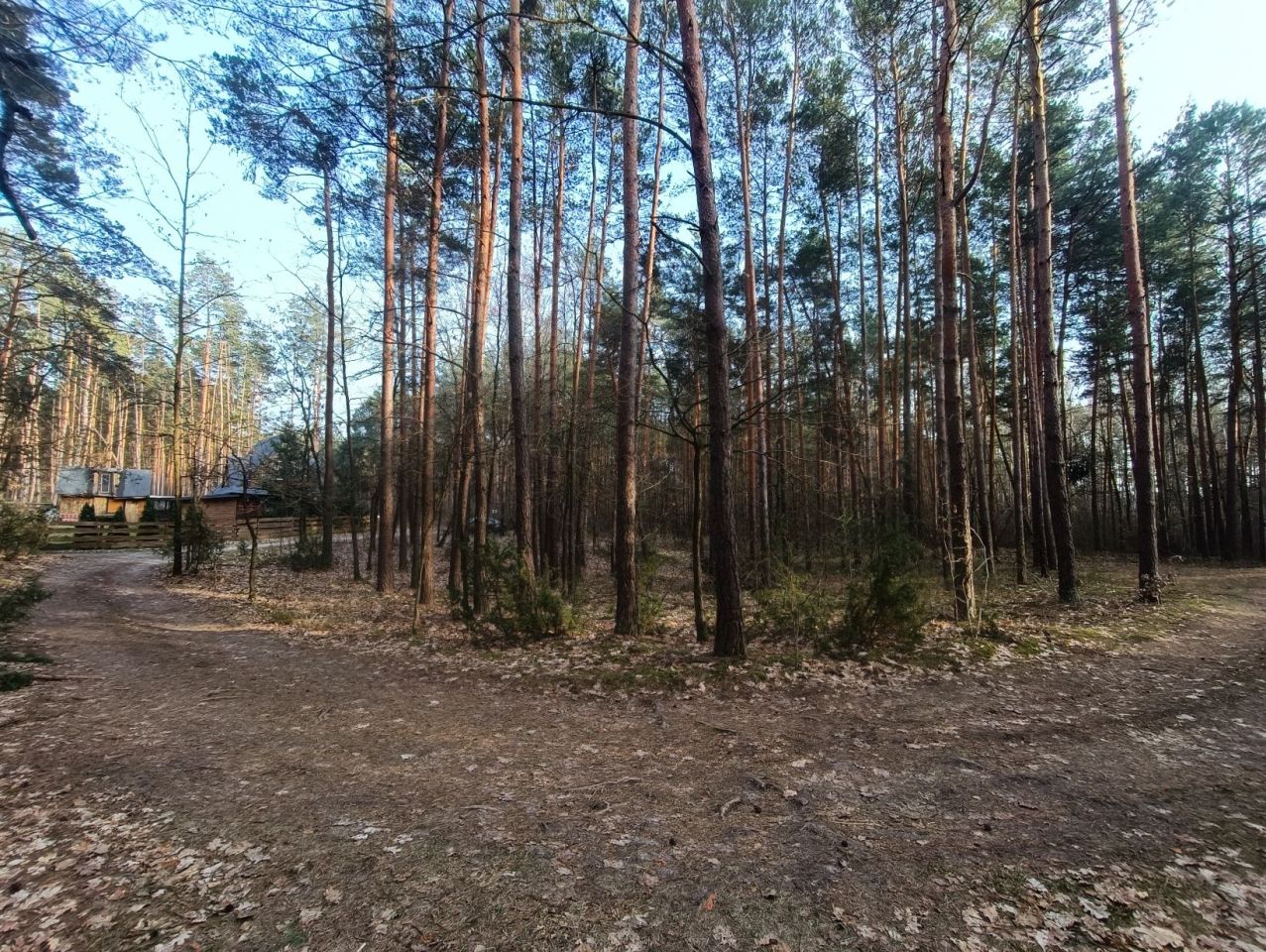 Działka rekreacyjna Mierzwice-Kolonia. Zdjęcie 3