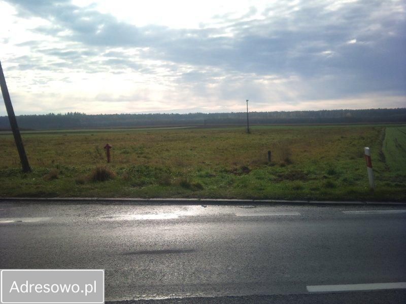 Działka budowlana Stare Sioło Lipina. Zdjęcie 4