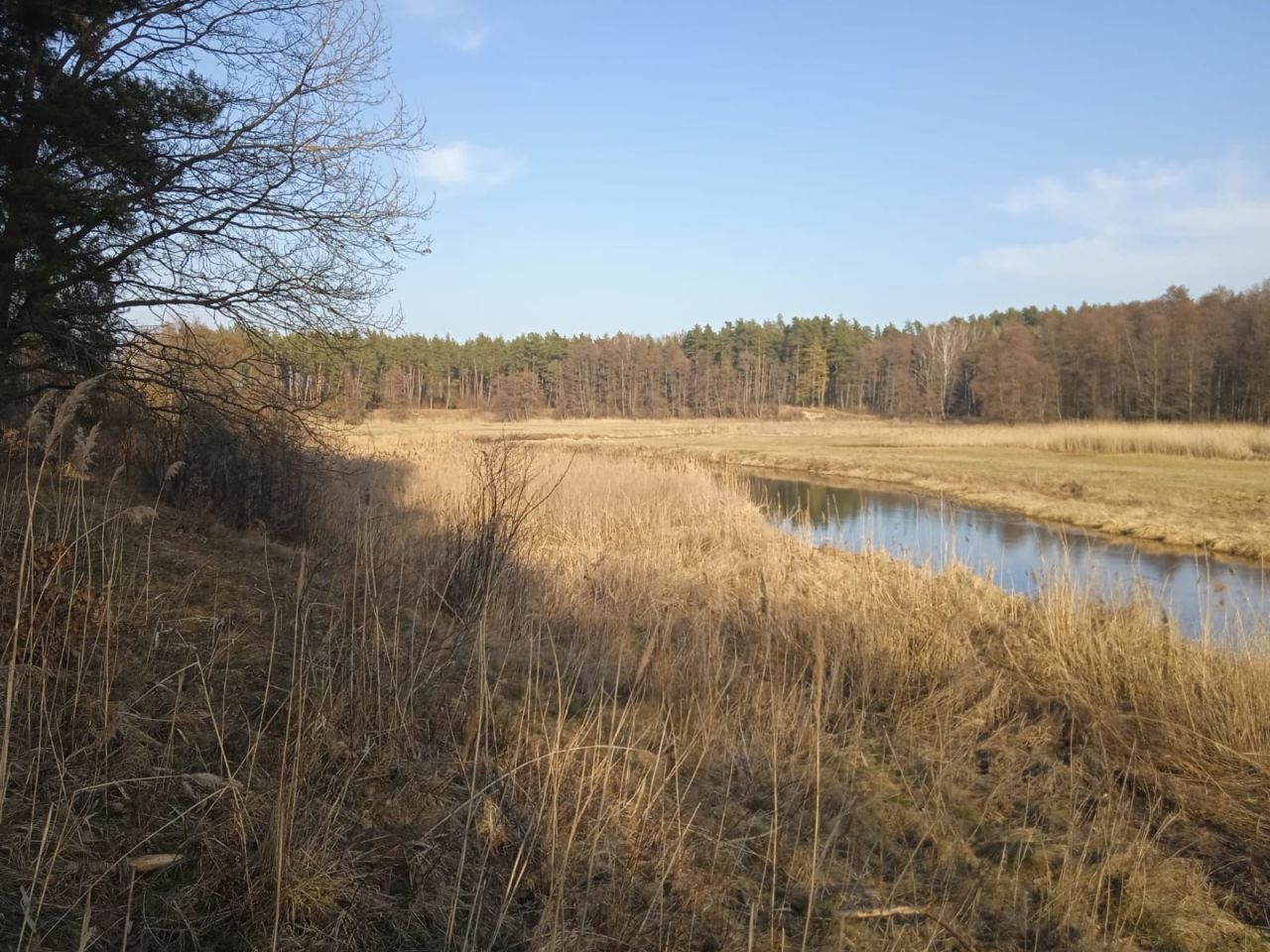 Działka rolna Bobrownik. Zdjęcie 2
