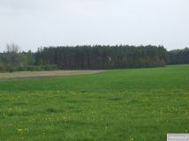 Działka siedliskowa Hruszew. Zdjęcie 4