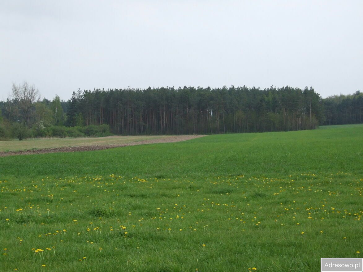 Działka siedliskowa Hruszew. Zdjęcie 5
