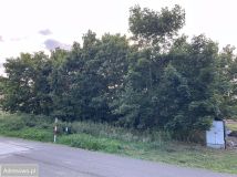 Działka budowlana Czarnowo, ul. Orzechowa. Zdjęcie 3