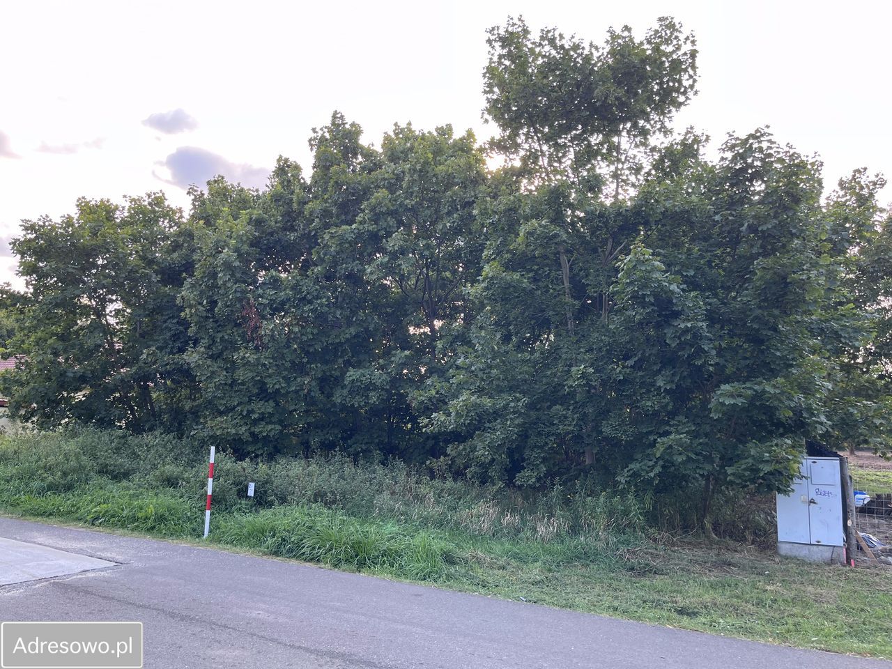 Działka budowlana Czarnowo, ul. Orzechowa. Zdjęcie 4