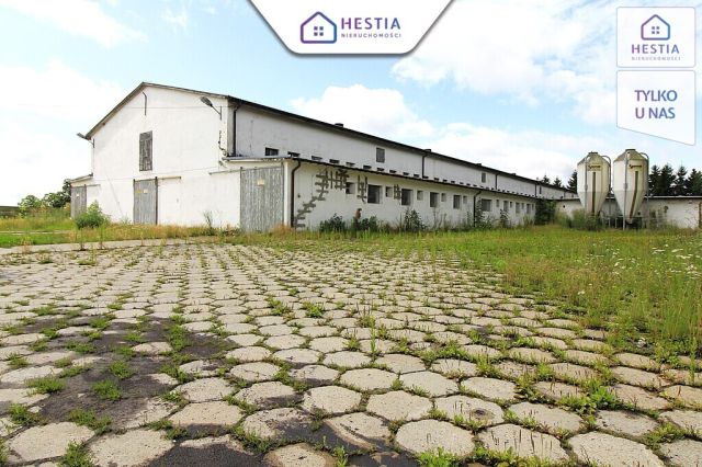 Hala/magazyn Strzyżno. Zdjęcie 2