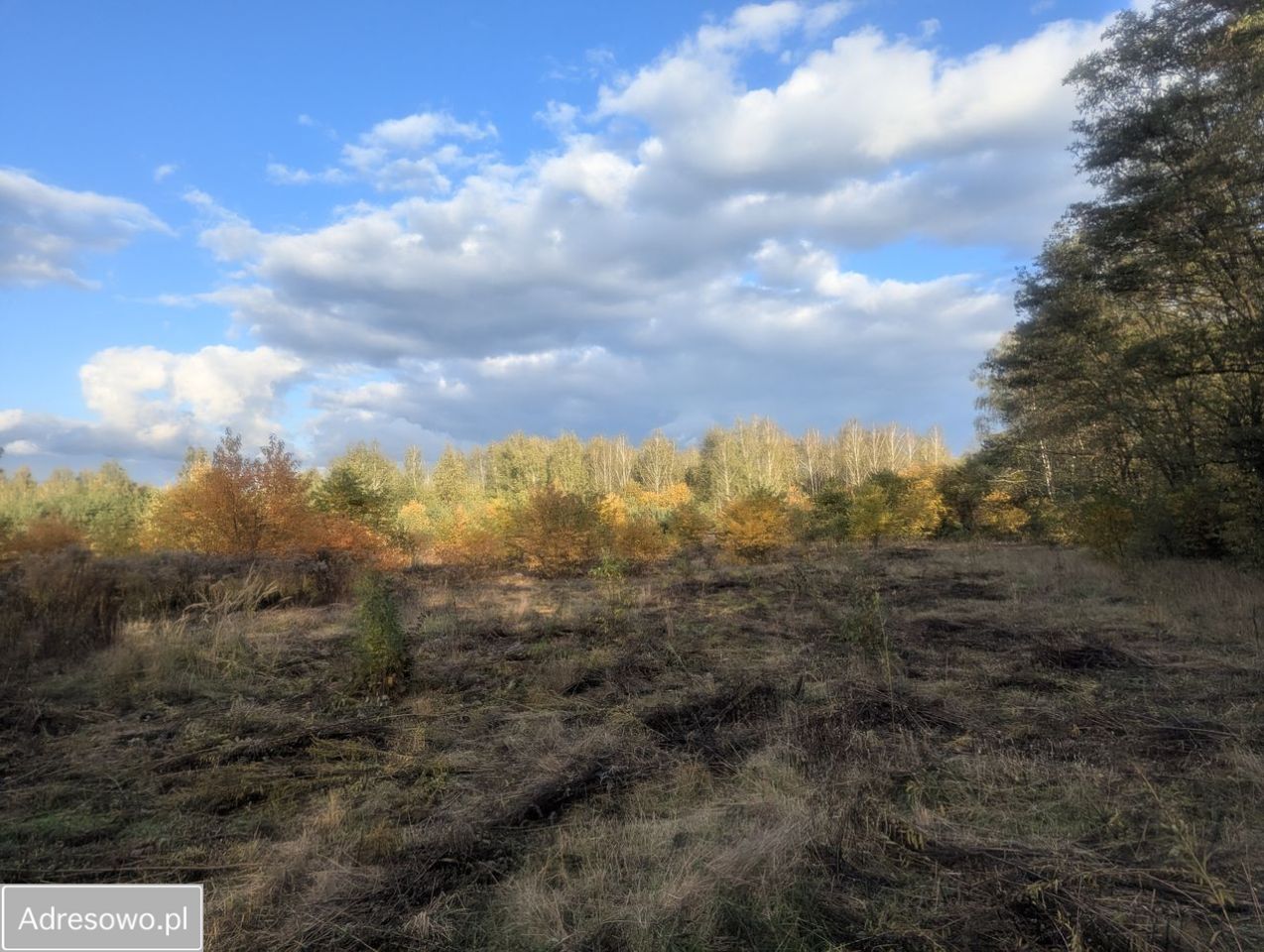 Działka budowlana Żółwin, ul. Tiulowa. Zdjęcie 7