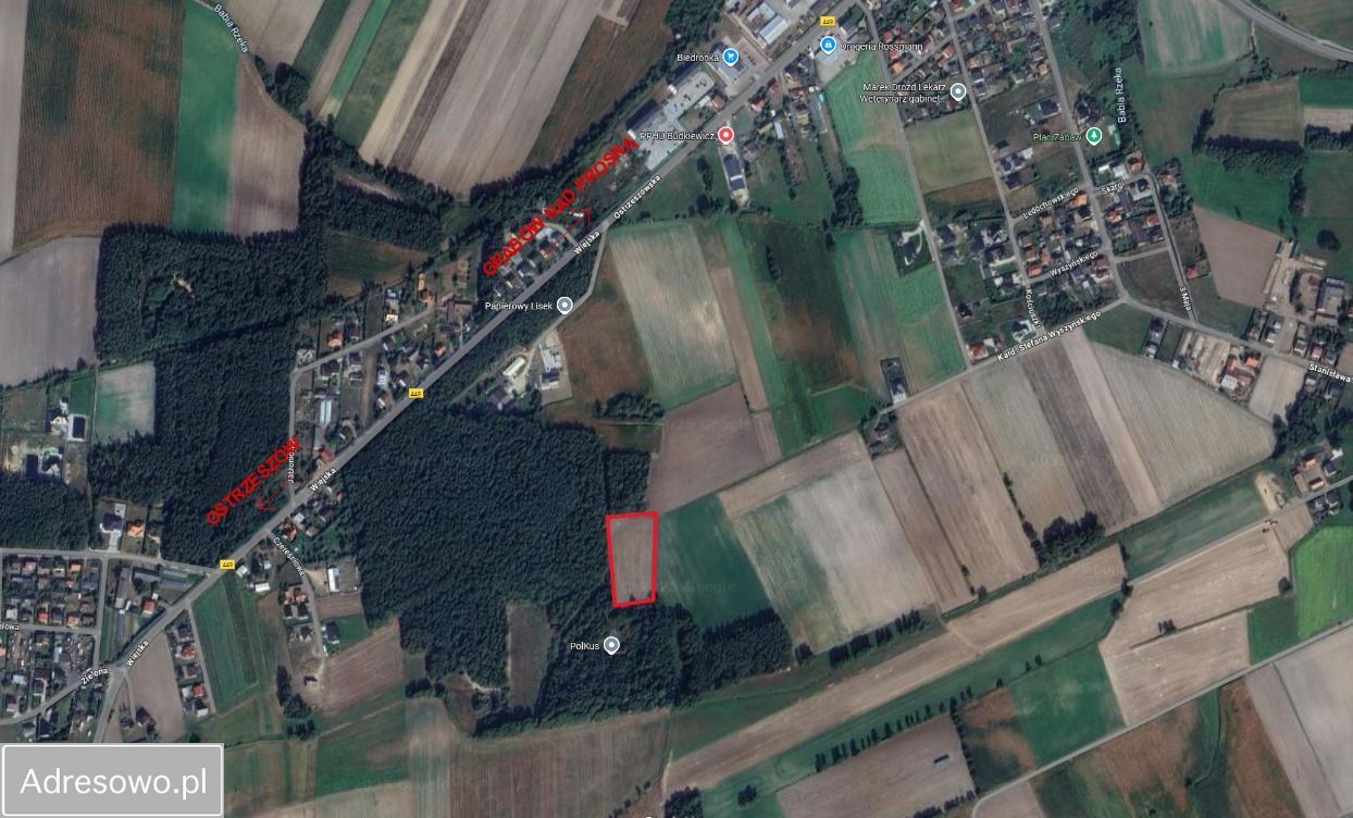 Działka budowlana Książenice, ul. Wiejska. Zdjęcie 2