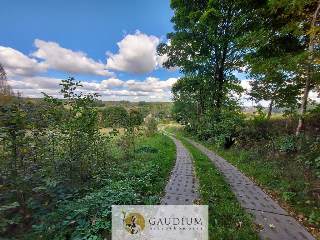 Działka Kobysewo. Zdjęcie 15