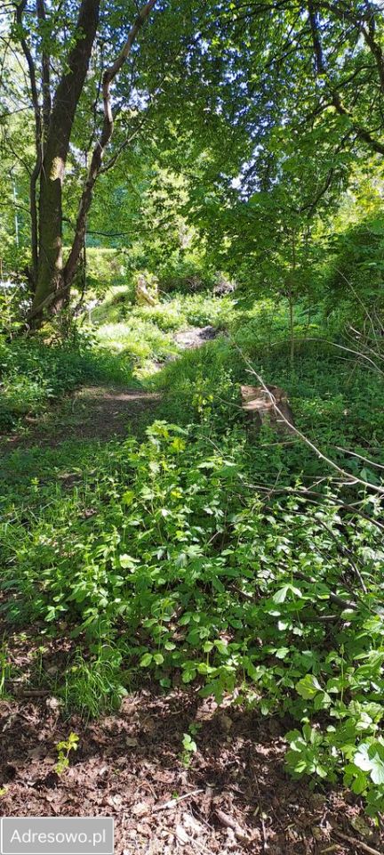 Lokal Polanów, ul. Młyńska. Zdjęcie 8
