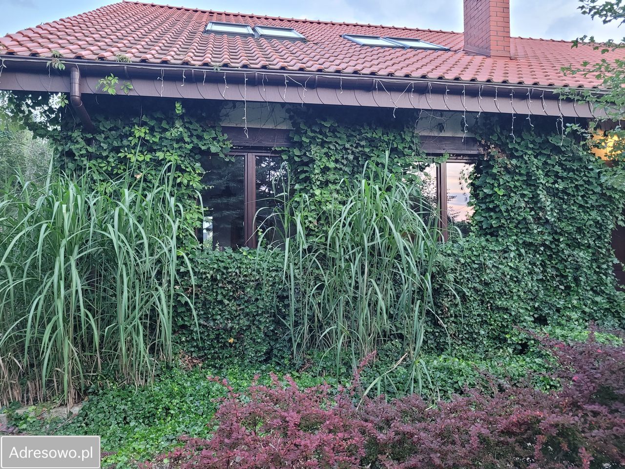 dom wolnostojący, 6 pokoi Wręczyca Wielka. Zdjęcie 2