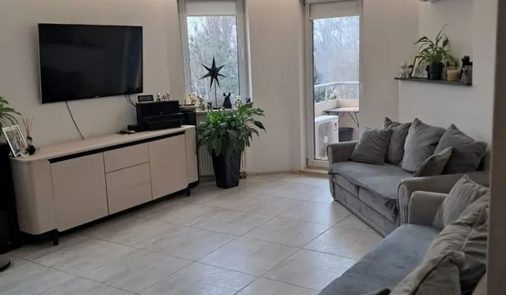 Mieszkanie 4-pokojowe Zielona Góra Centrum, ul. Profesora Zygmunta Szafrana