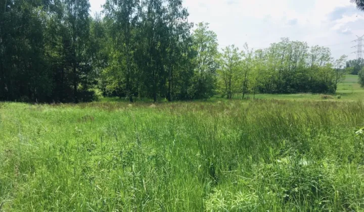 Działka budowlana Będzelin, ul. Strażacka