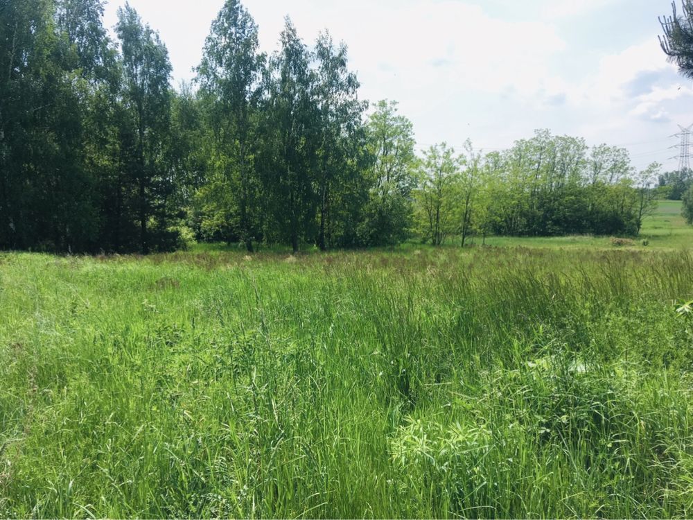 Działka budowlana Będzelin, ul. Strażacka. Zdjęcie 1