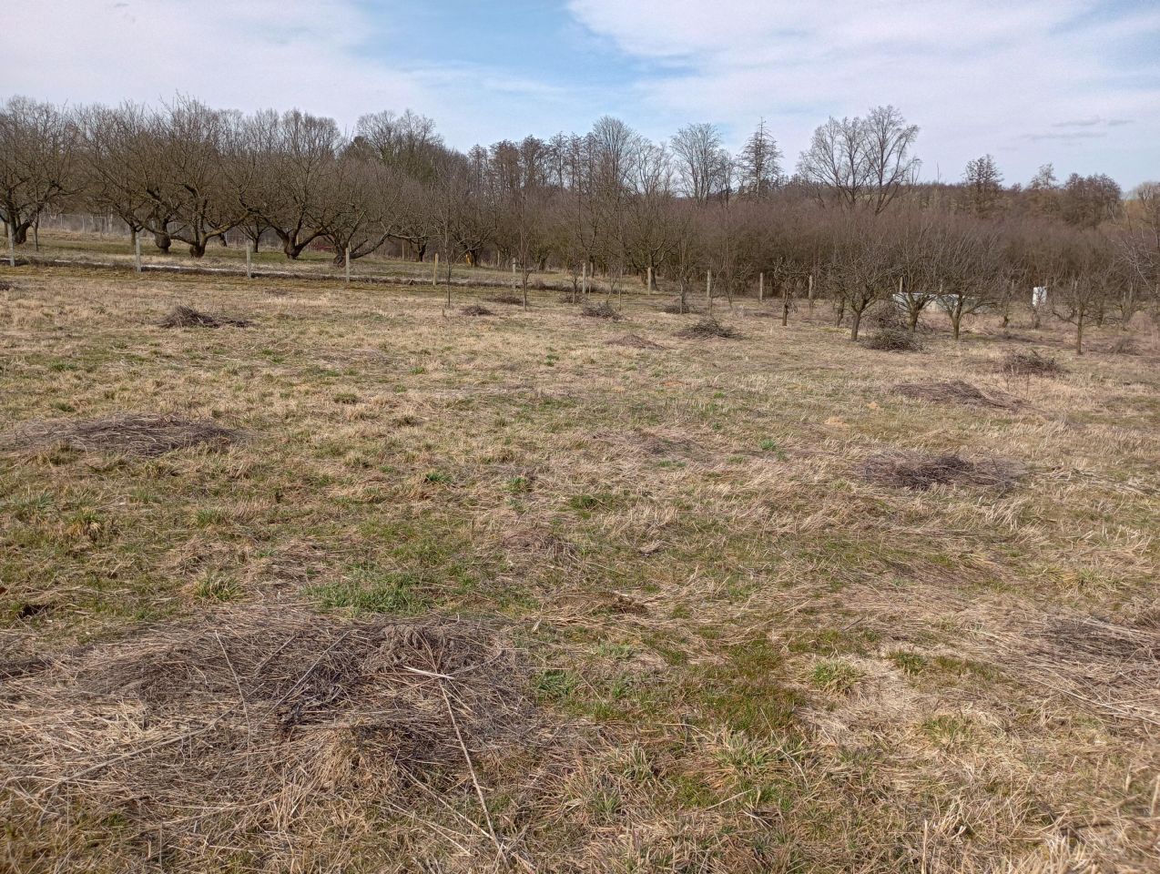Działka budowlana Brochocin, Brak. Zdjęcie 6