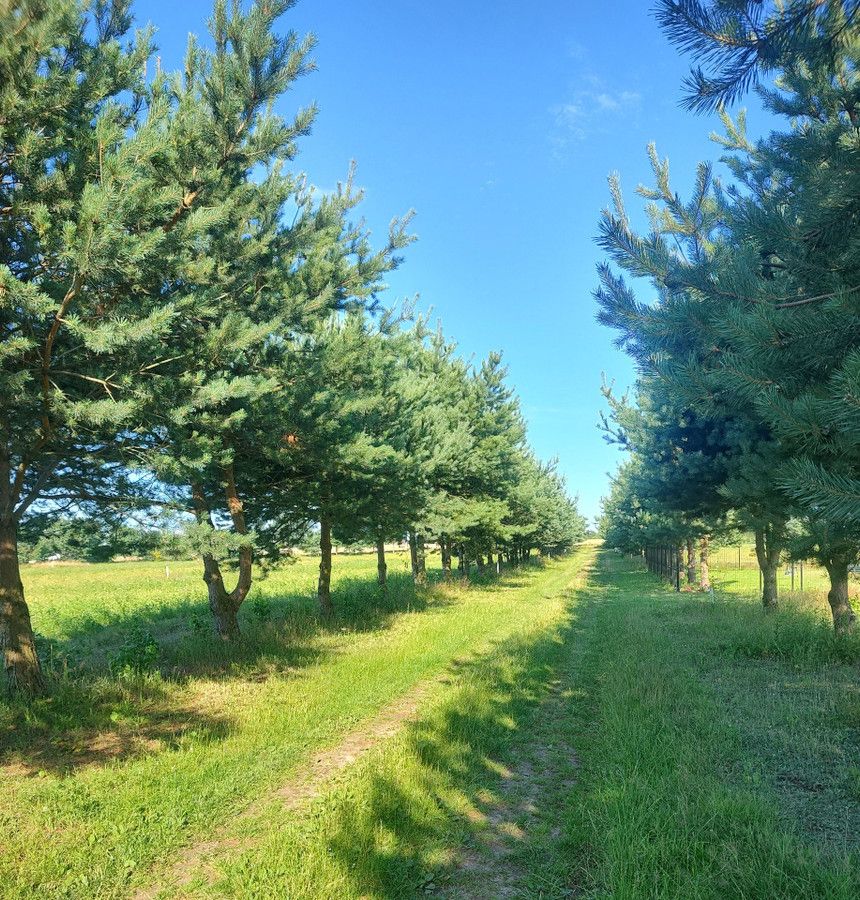 Działka rolna Swarzewo. Zdjęcie 3