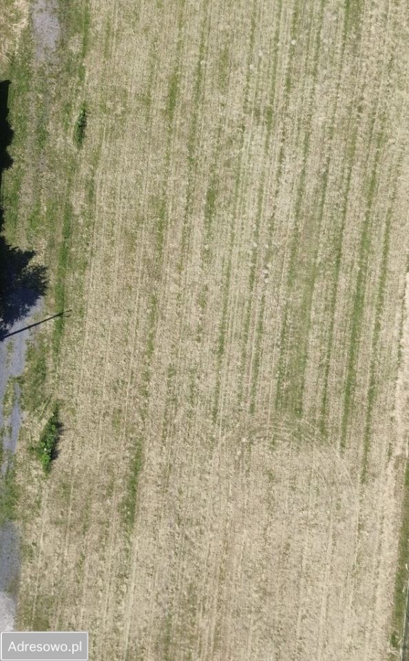 Działka budowlana Jaskrów. Zdjęcie 3