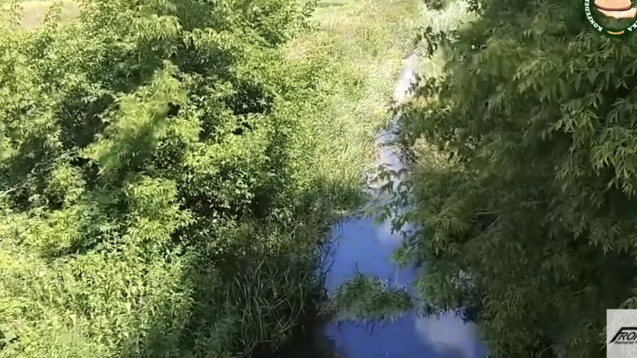 Działka rolna Czechowizna. Zdjęcie 6