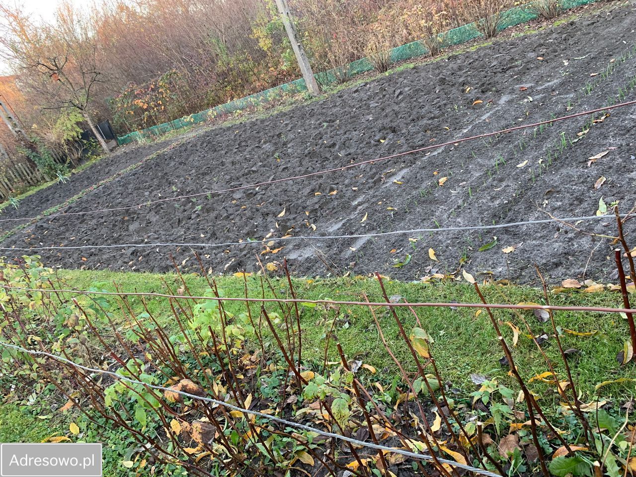 dom wolnostojący, 4 pokoje Chełm, ul. gen. Stanisława Skalskiego. Zdjęcie 12