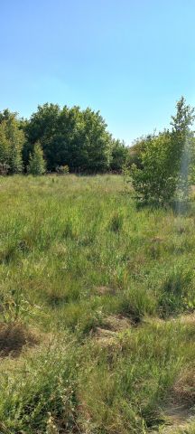 Działka rolno-budowlana Wincentów. Zdjęcie 1