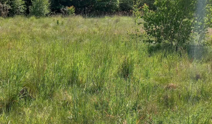 Działka rolno-budowlana Wincentów