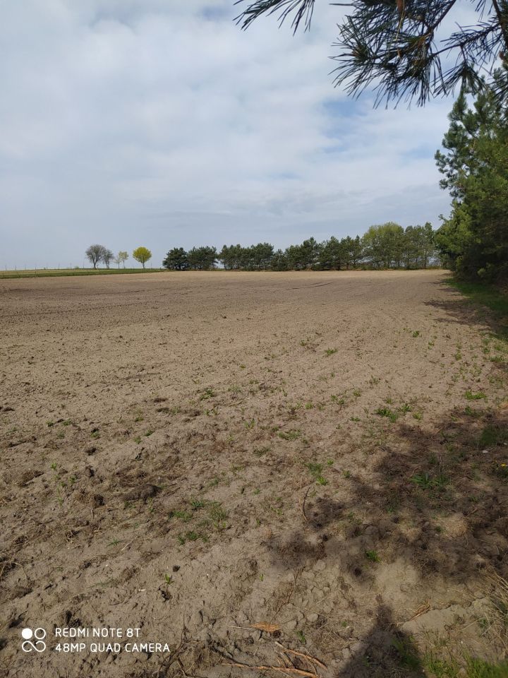 Działka rolno-budowlana Rataje. Zdjęcie 8