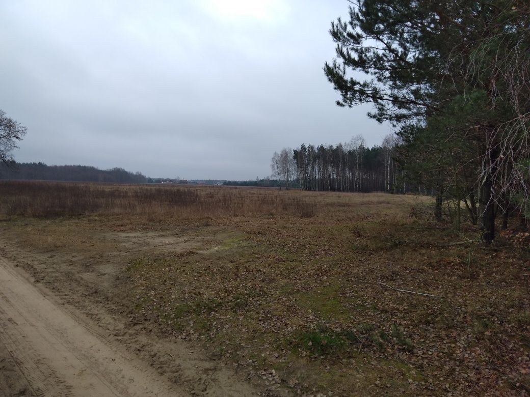 Działka Budy Lucieńskie. Zdjęcie 2