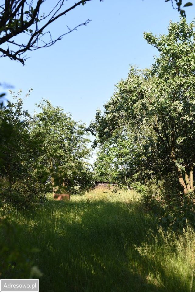 dom wolnostojący, 6 pokoi Rypin, ul. Józefa Piłsudskiego. Zdjęcie 6