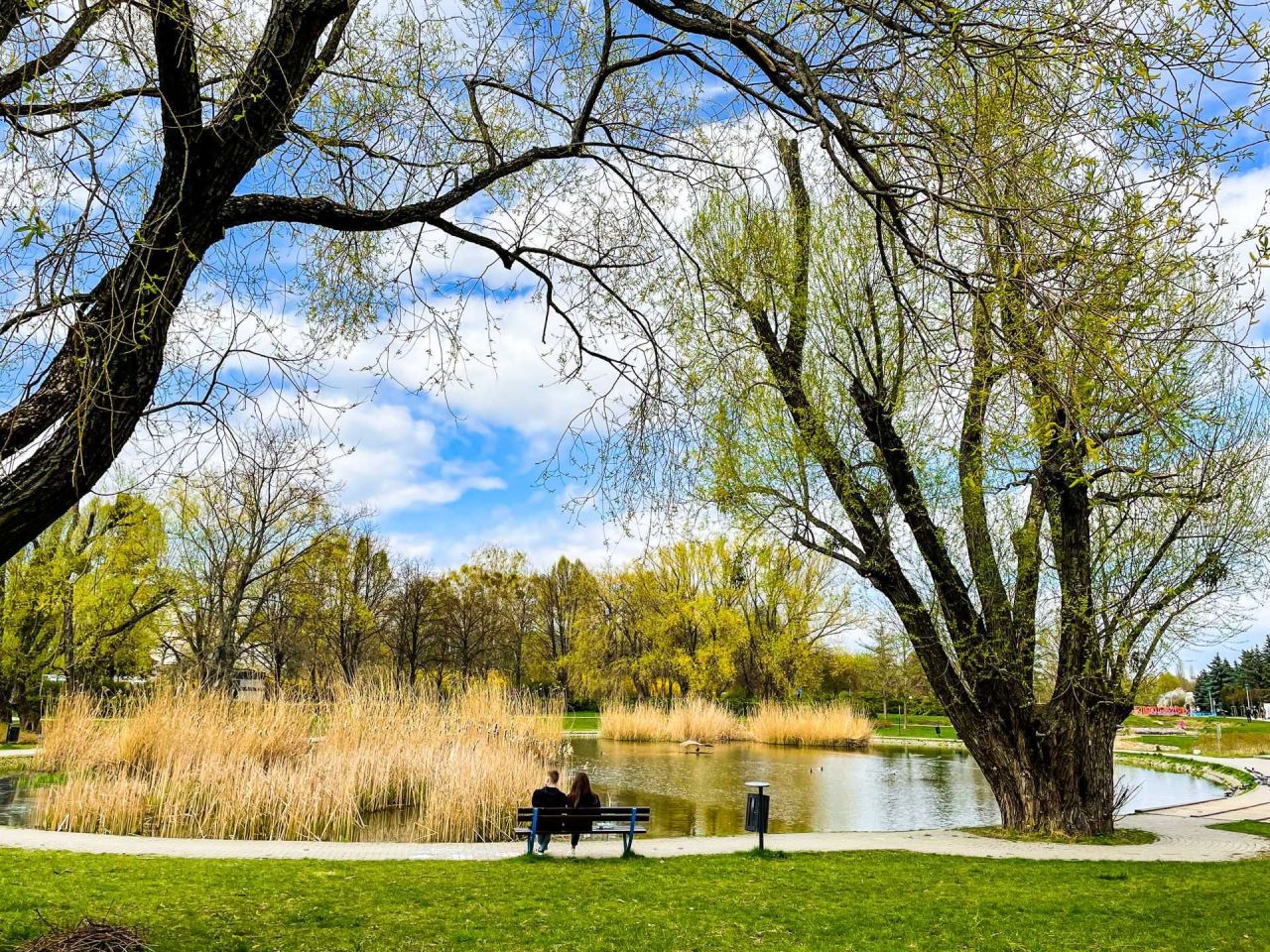 Mieszkanie 2-pokojowe Warszawa Wola