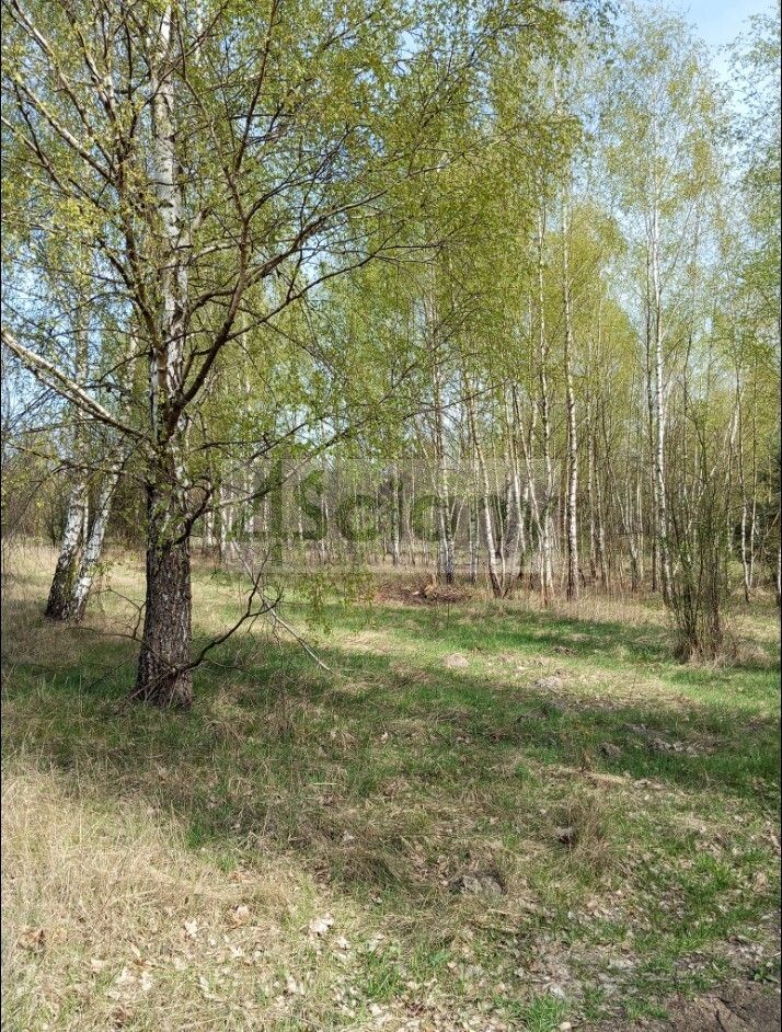 Działka budowlana Jasienica. Zdjęcie 14