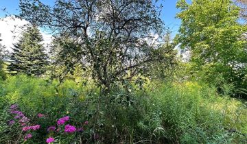 Działka budowlana Justynów, ul. Nowa