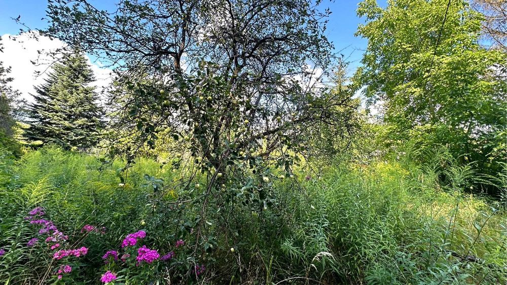 Działka budowlana Justynów, ul. Nowa. Zdjęcie 2