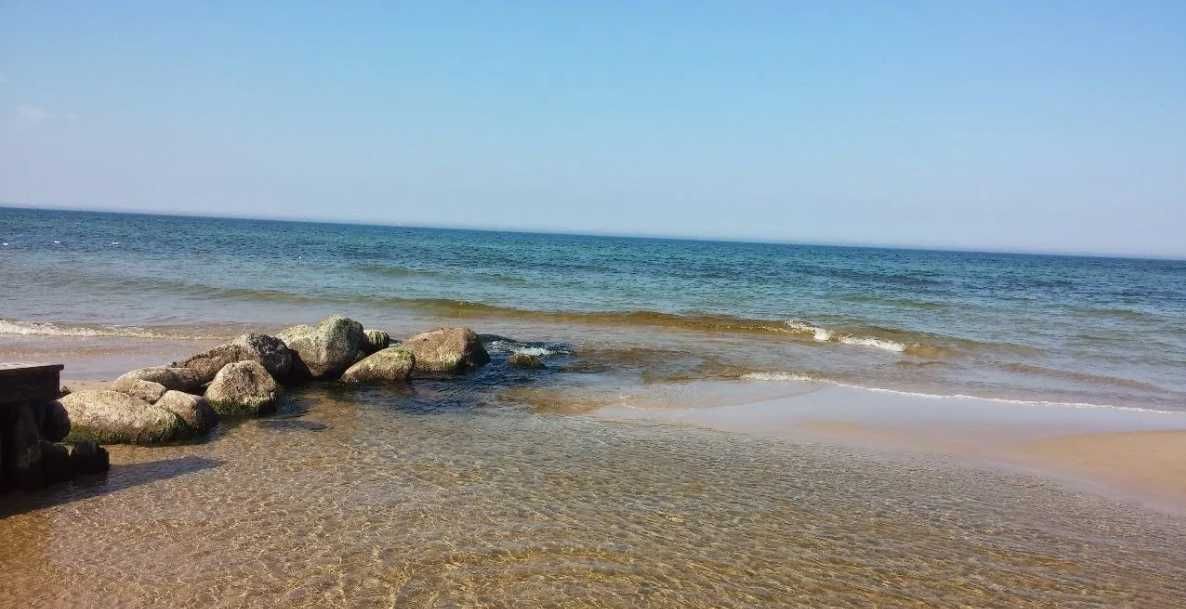 Działka rekreacyjna Ostrowo. Zdjęcie 3