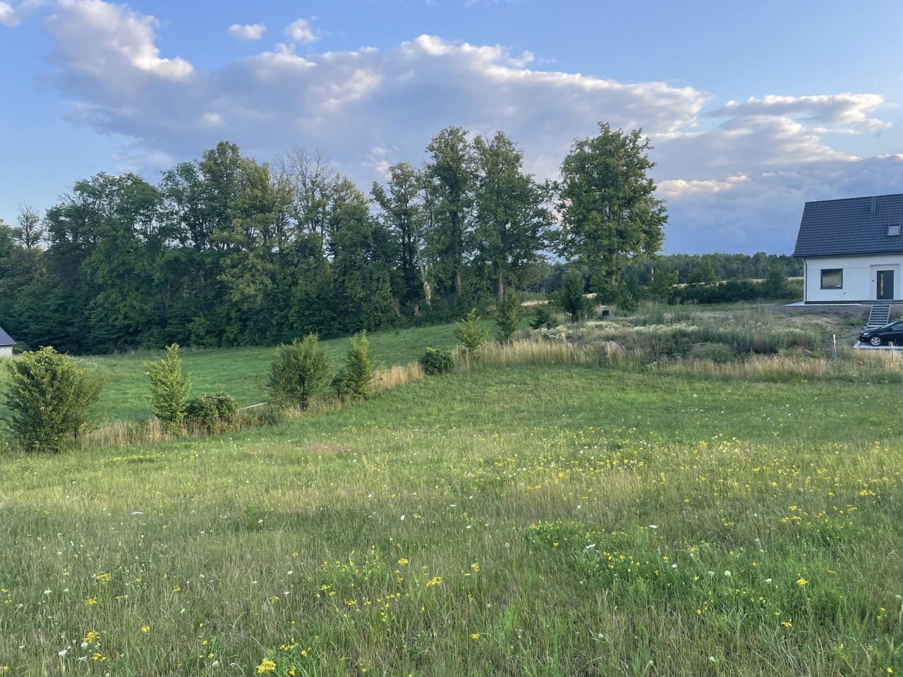 Działka budowlana Pępowo, ul. Zielone Wzgórze. Zdjęcie 1