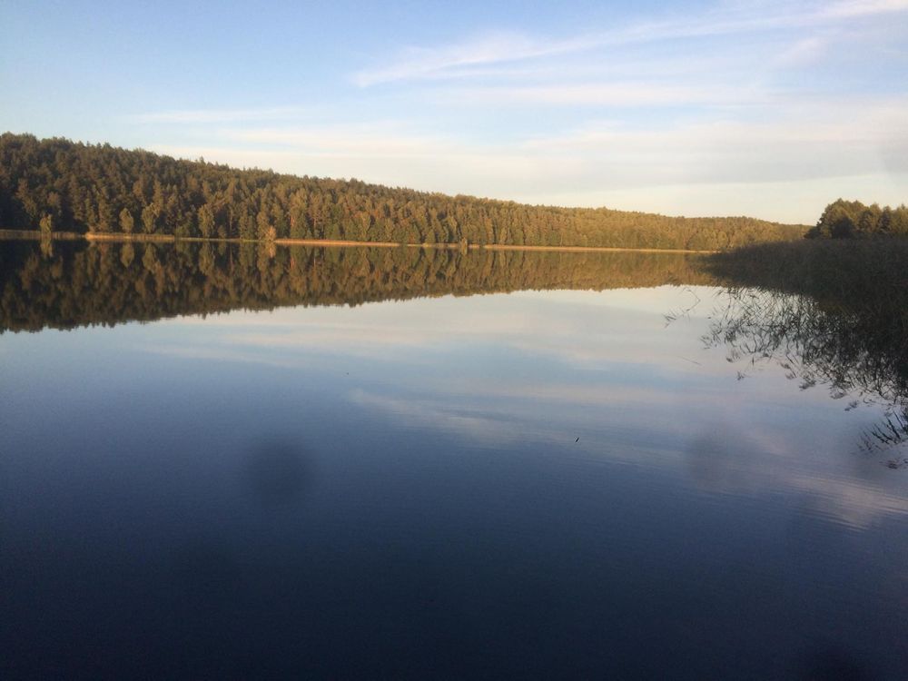 Działka budowlana Starzno. Zdjęcie 5