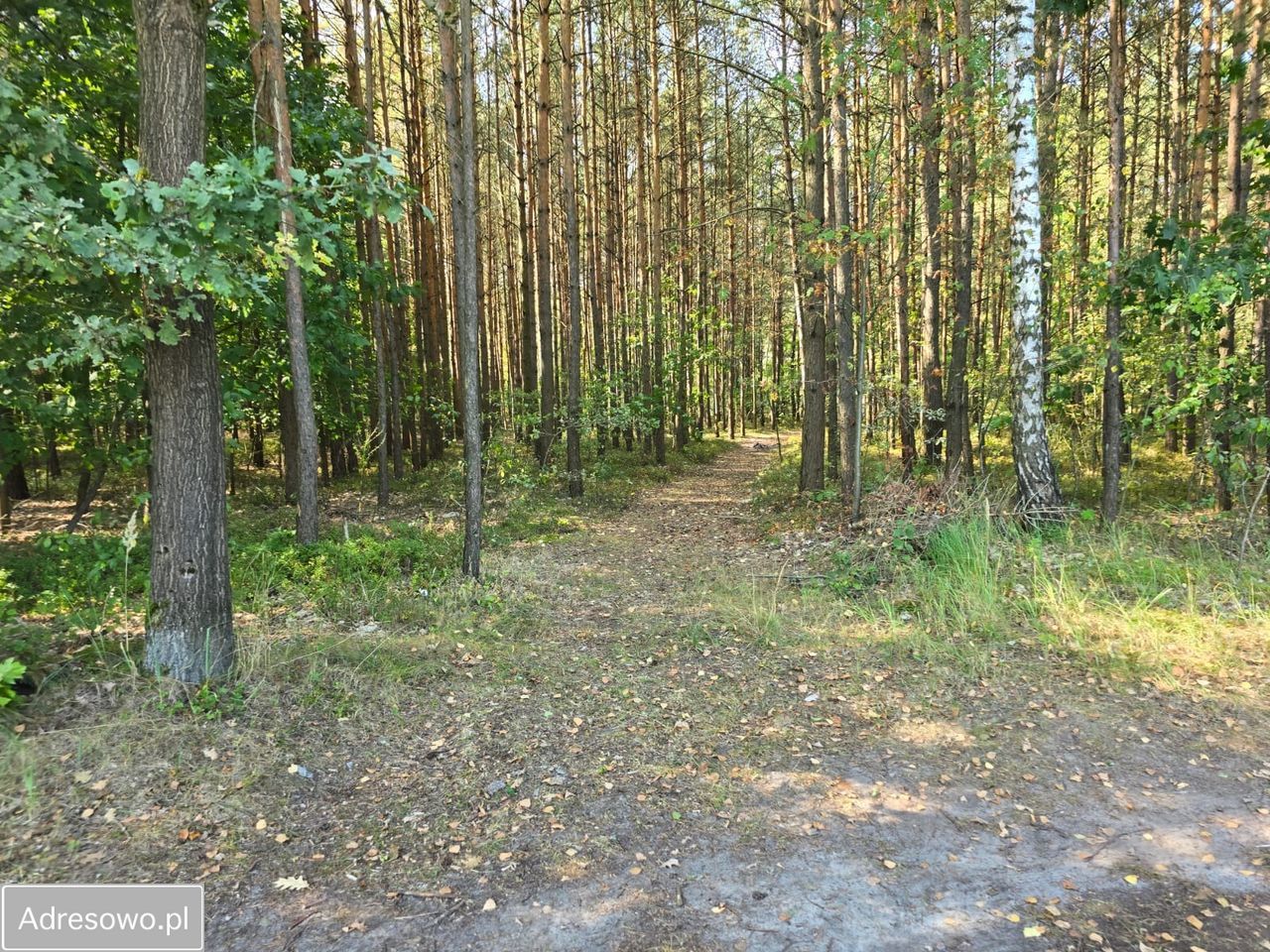 Działka budowlana Grabina Radziwiłłowska, ul. Jagodowa. Zdjęcie 9