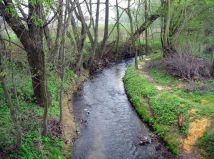 Działka rolno-budowlana Szewna, ul. Zarzecze. Zdjęcie 2