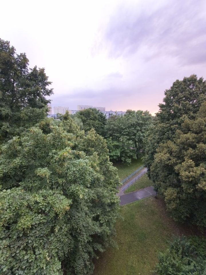 Mieszkanie 3-pokojowe Poznań Winogrady, os. Kosmonautów. Zdjęcie 8