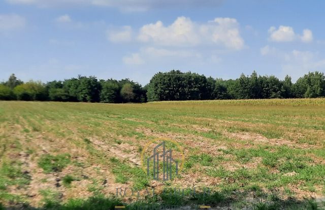 Działka rolna Rudno. Zdjęcie 3