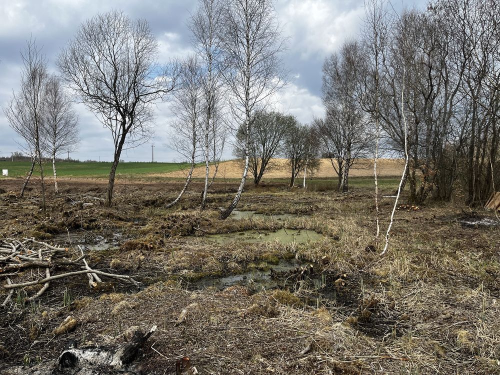 Działka rolno-budowlana Nowy Wiec. Zdjęcie 7