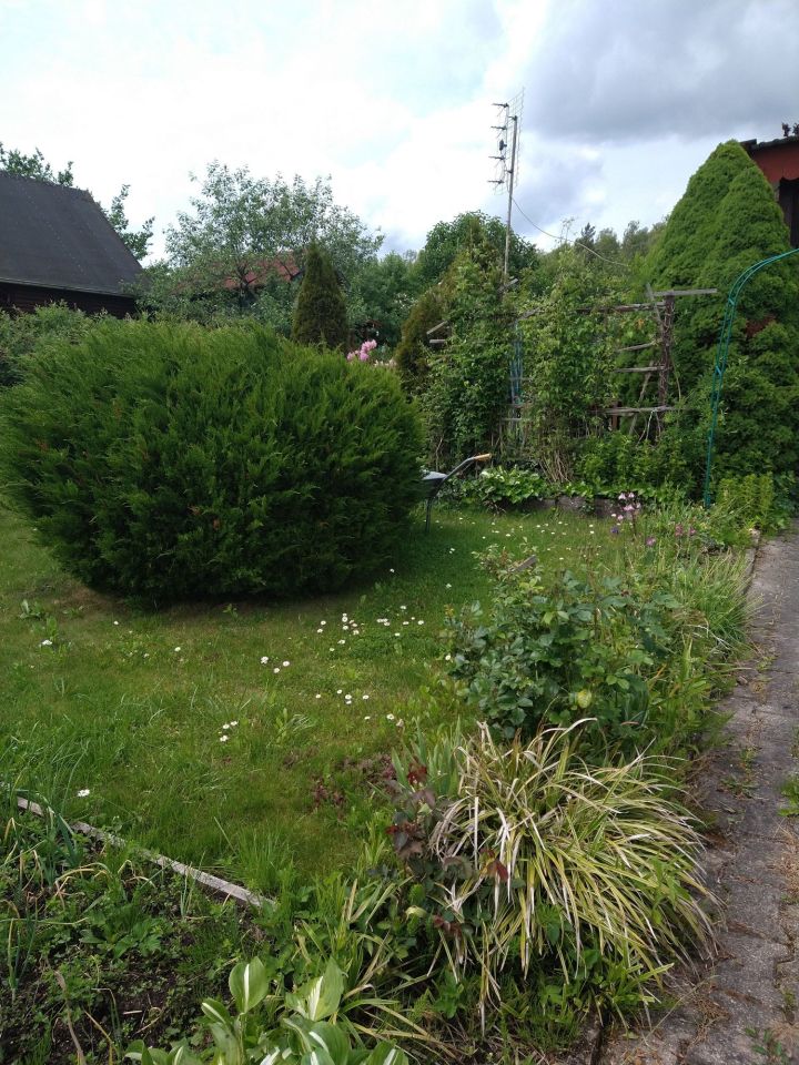 Działka rod Olsztyn. Zdjęcie 7