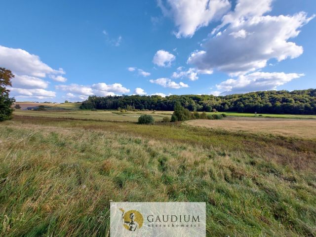 Działka Kobysewo. Zdjęcie 13