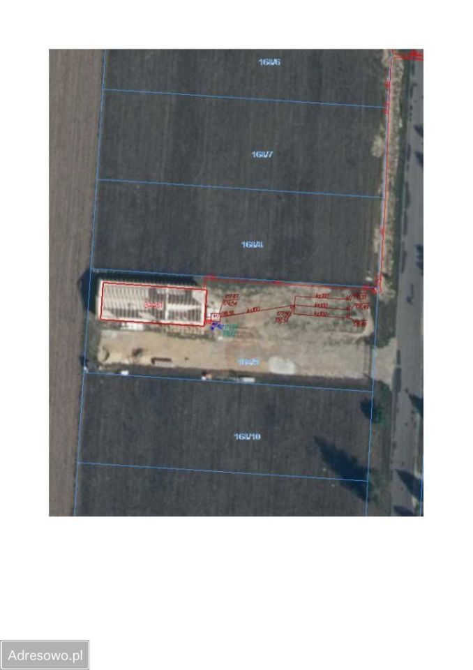 Działka budowlana Studzianki. Zdjęcie 4