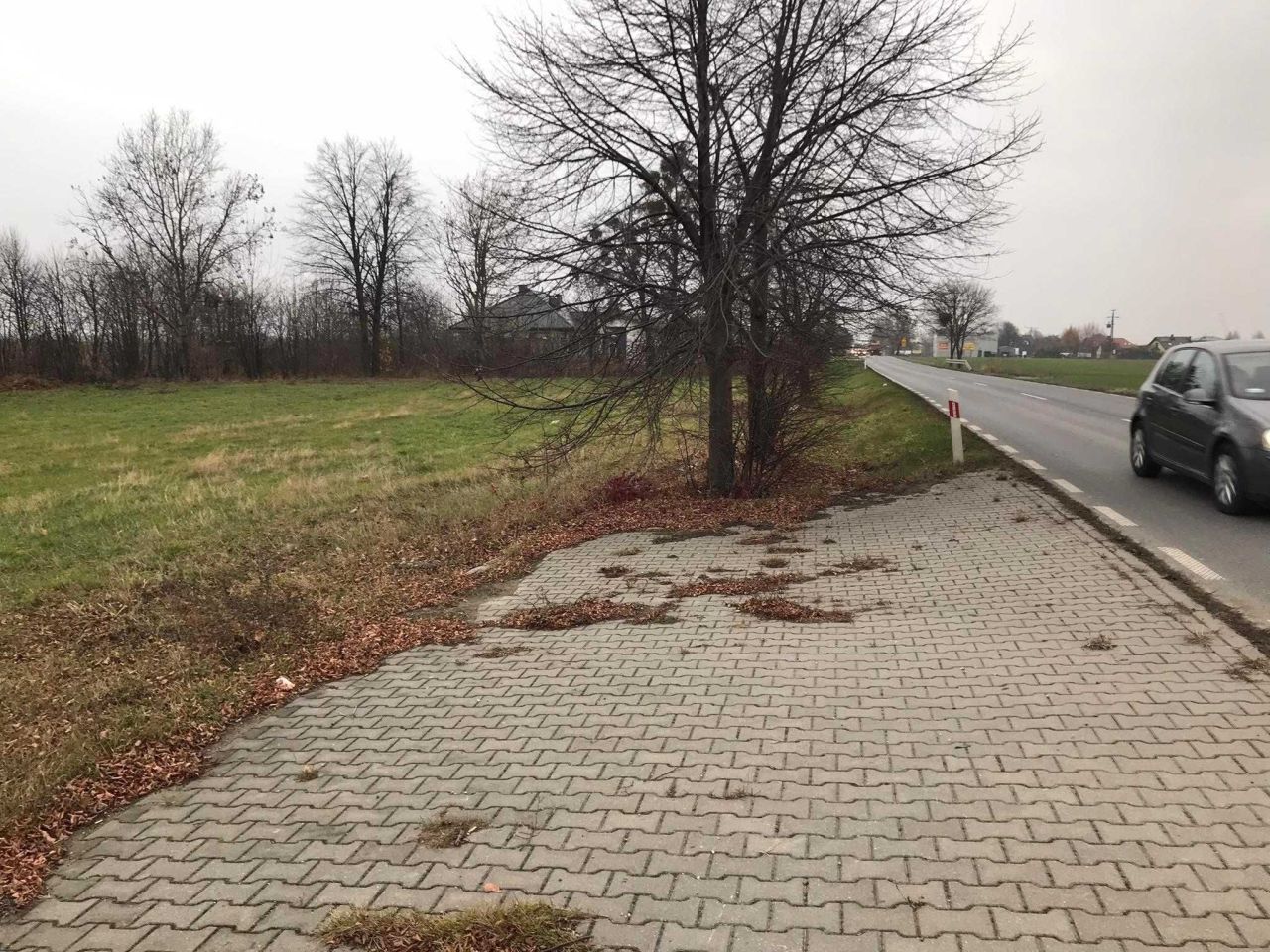 Działka inwestycyjna Różankowo. Zdjęcie 4