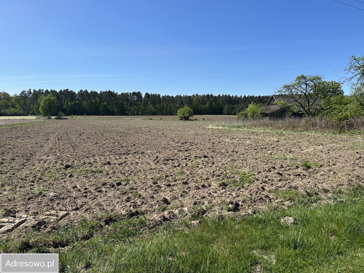 Działka siedliskowa Nowa Wieś