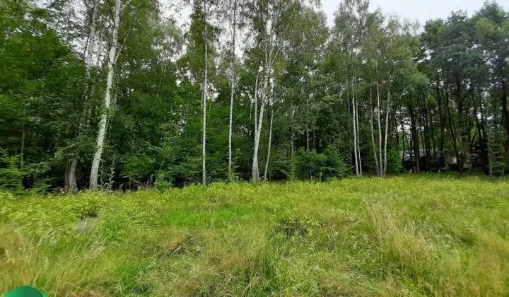 Działka budowlana Podkowa Leśna