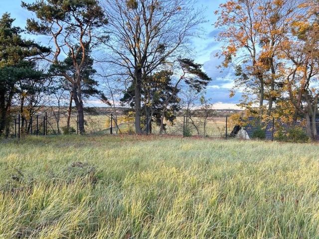 Działka budowlana Lisi Ogon, ul. Cicha. Zdjęcie 1